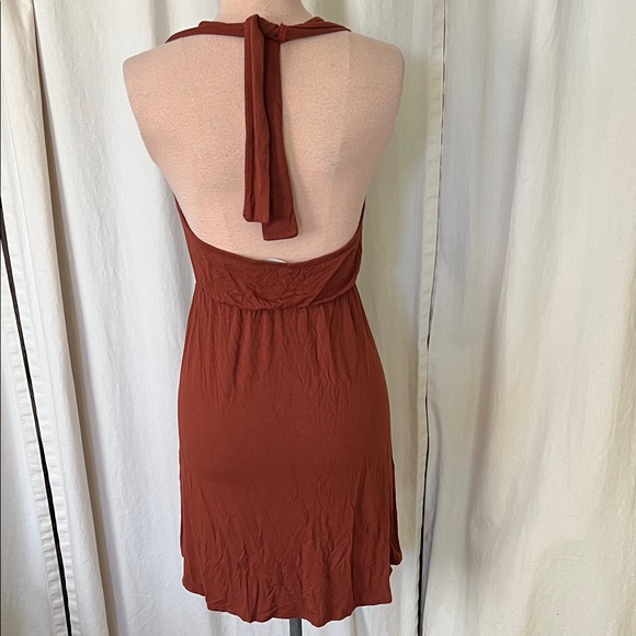 Earthbound Rust Halter backless mini Dress - Picture 3 of 8